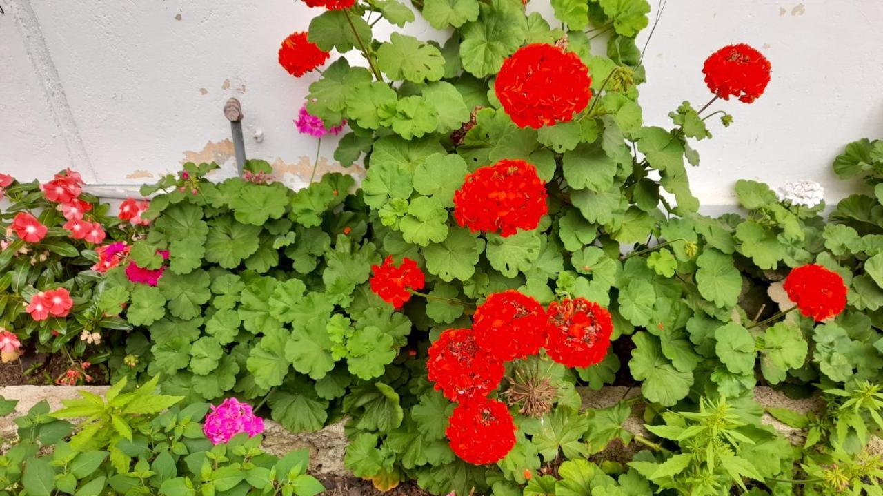 El Paraiso 푸에르토아요라 외부 사진